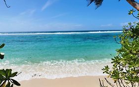 Chalets D'Anse Forbans Selfcatering